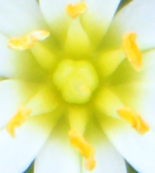 Art Photography
